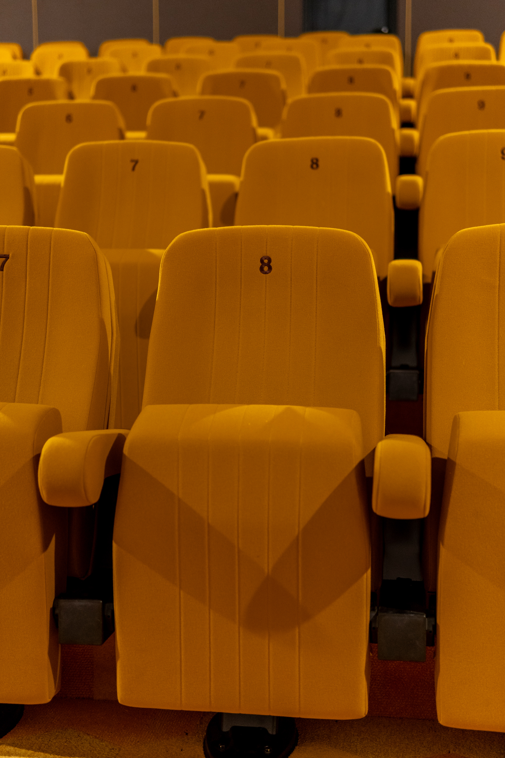 FilmTheater FilmkrantDag-020.jpg